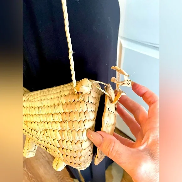 Woven Pig-Shaped Crossbody Bag - Picture 4 of 7